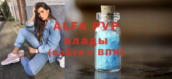 крисы Богородицк