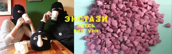 крисы Богородицк