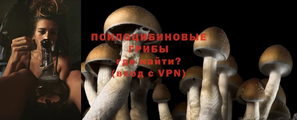 крисы Богородицк