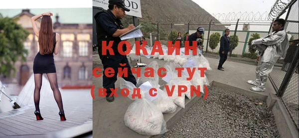 крисы Богородицк