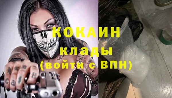 бошки Богданович