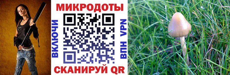 Купить где  Аша  Псилоцибиновые грибы прущие грибы 